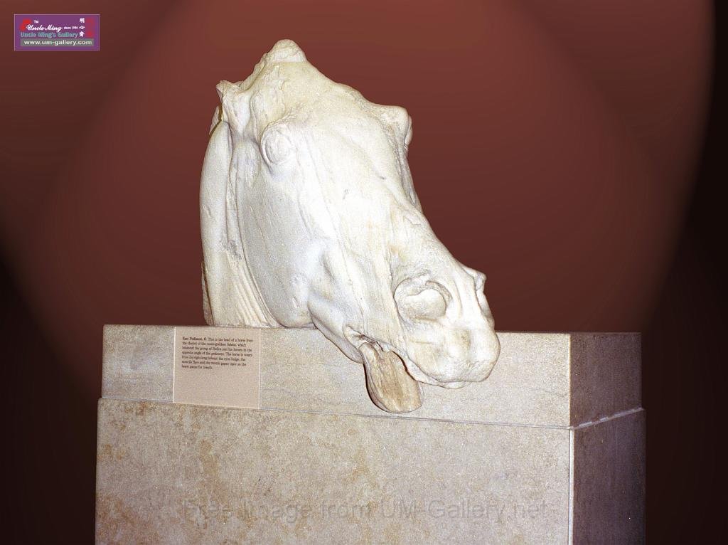 horse_head2 拷貝.jpg